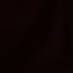 Meet your Posher, Bridgette